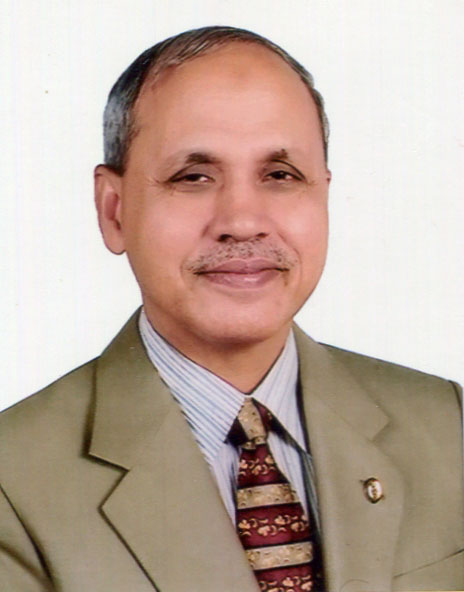 Maj Gen Abdul Hafiz Mallik, psc (Retd)